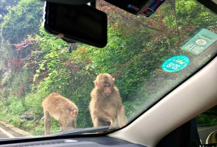 雅安旅行攻略亲子游,雅安市旅行攻略自由行路线