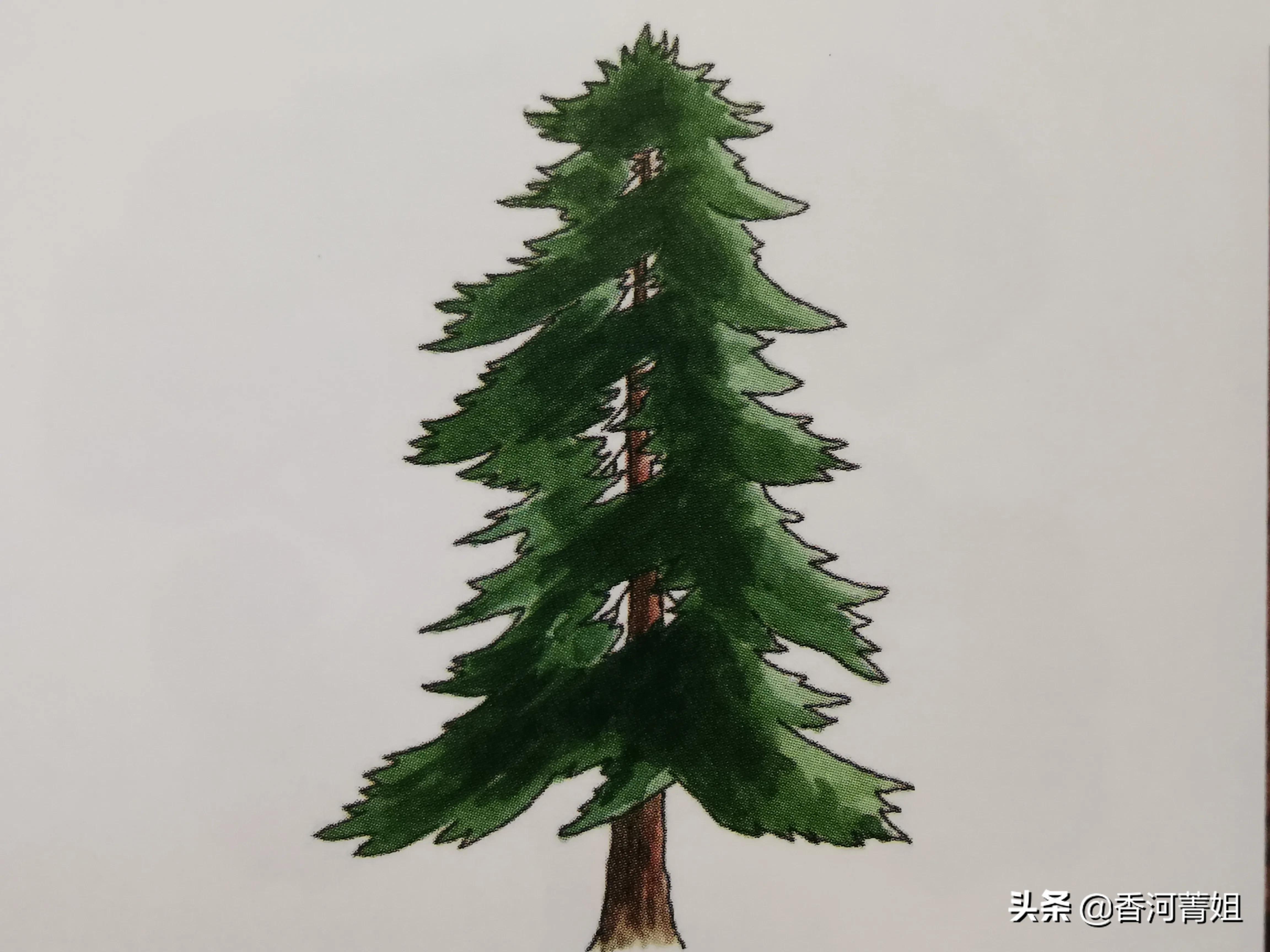 北美黑胡桃软木,北美软木专卖店