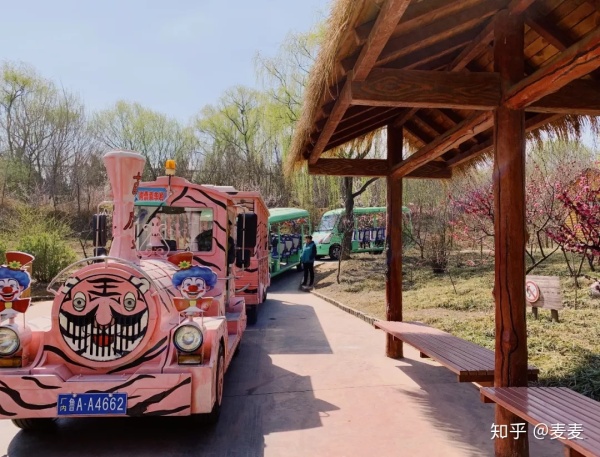 野生动物园长隆游玩攻略,野生动物园长隆攻略图片