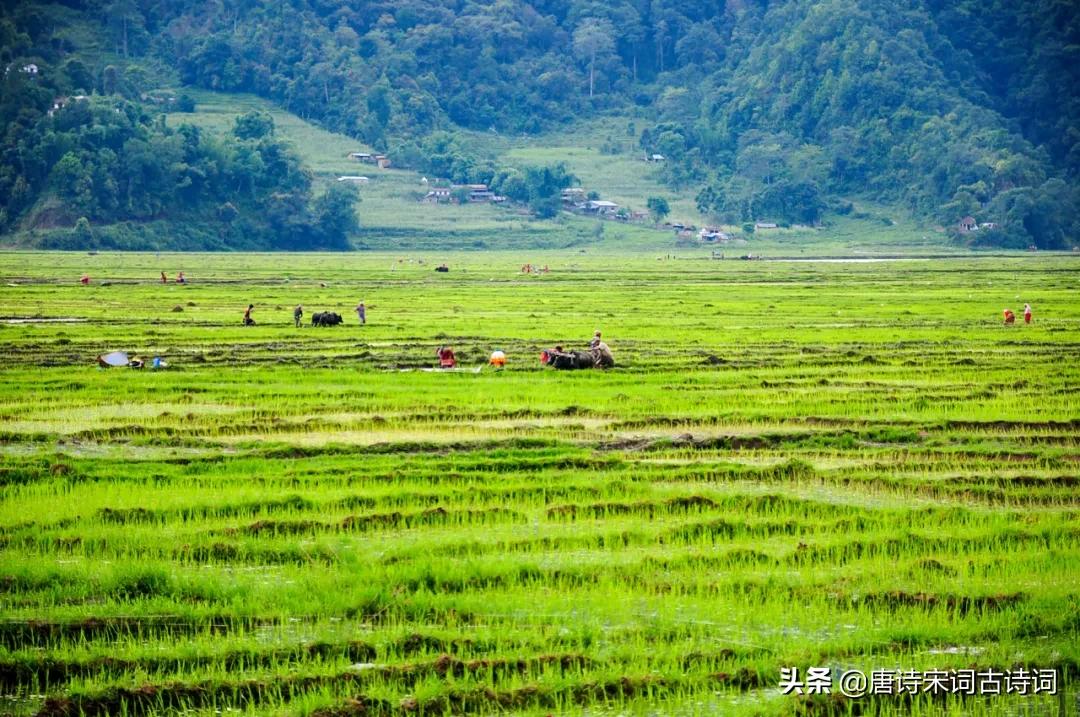 老翁七十犹强健，没膝春泥夜叱牛