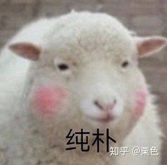 淘宝购物下单省钱步骤,淘宝购物返利省钱技巧