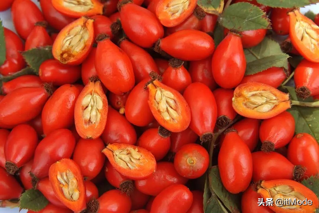 最近在看什么电视剧或者电影,最近在看啥电影