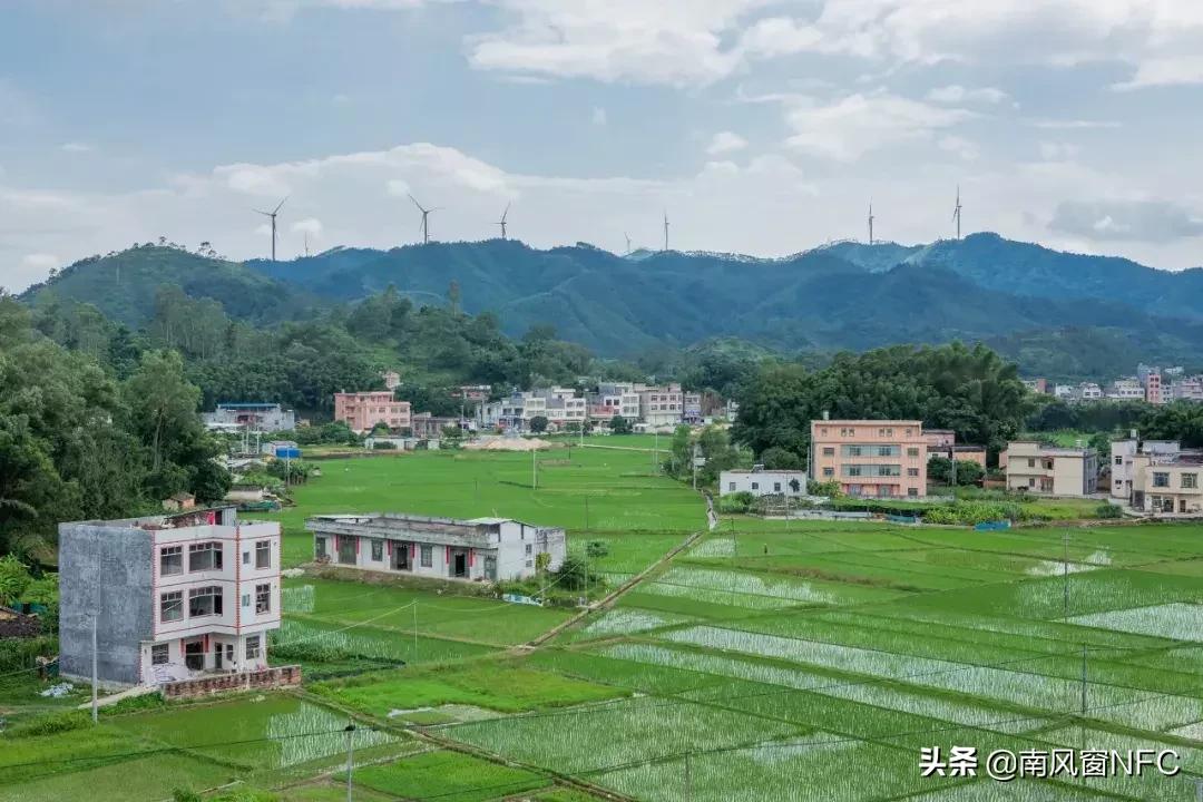 鬼火焚身小说,炎火焚身