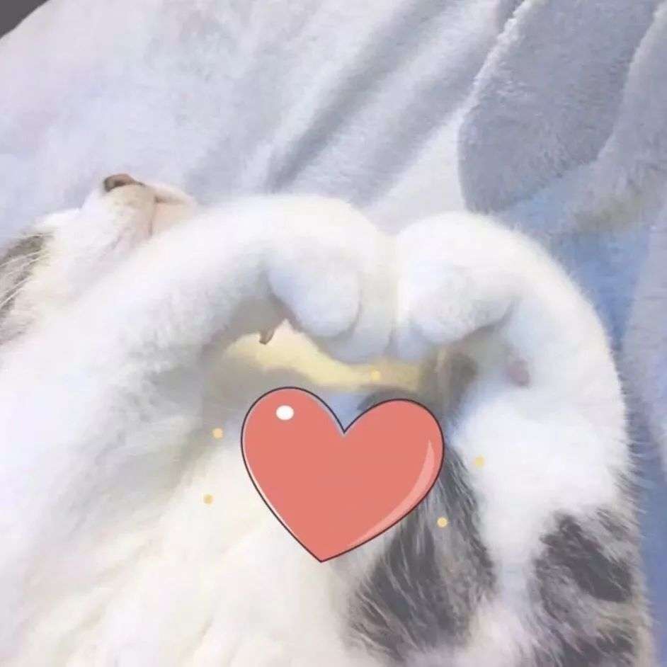 tomford口红黑管49试色,tomford最值得买的颜色