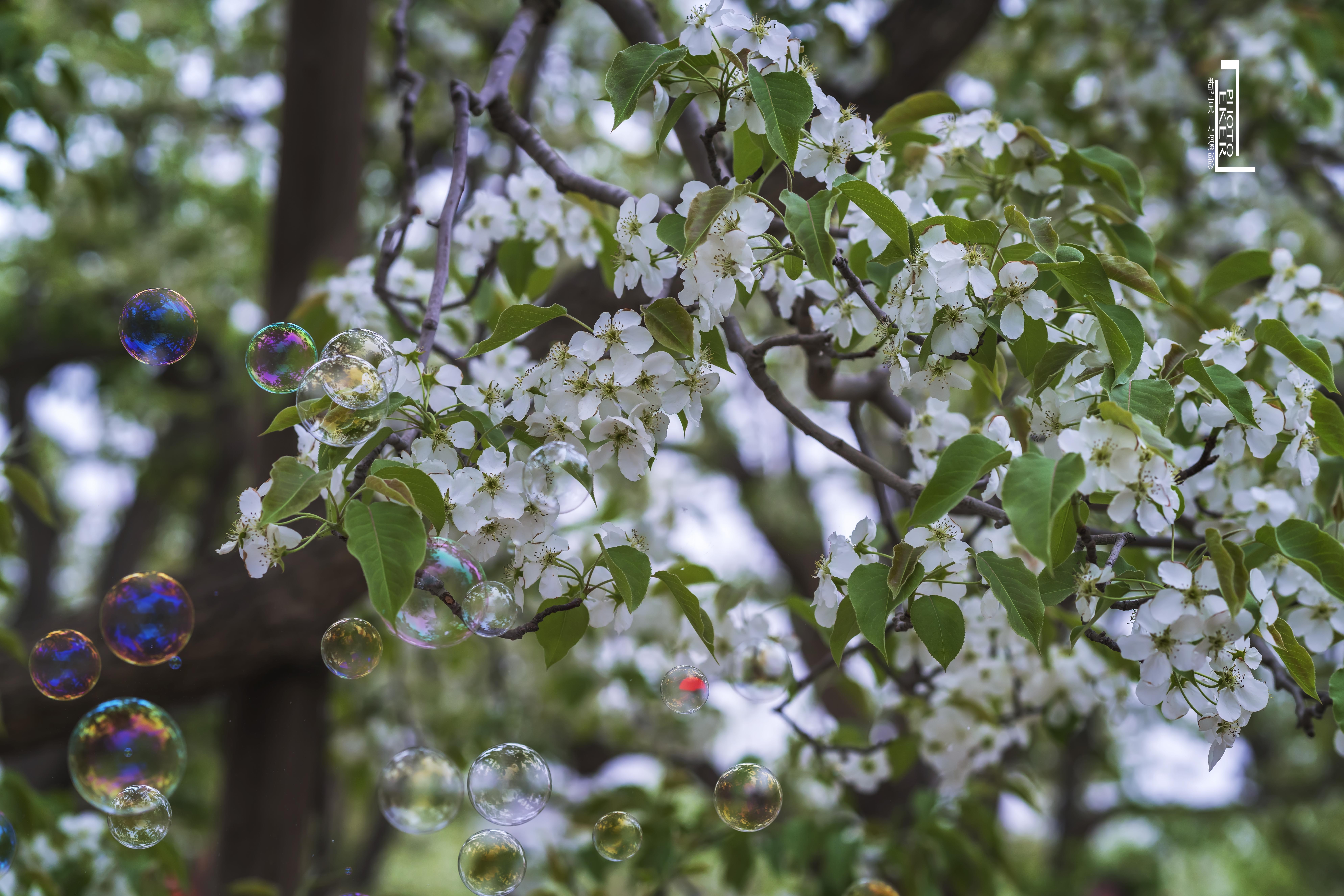 大西北戈壁滩怎么形成的,我国西北地区大戈壁滩形成原因
