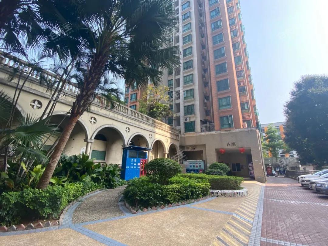 八大录取率名列前茅的二梯队石厦学校,学区房500万起