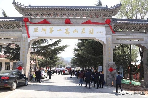 灵宝苹果小镇采摘园,河南三门峡灵宝景区