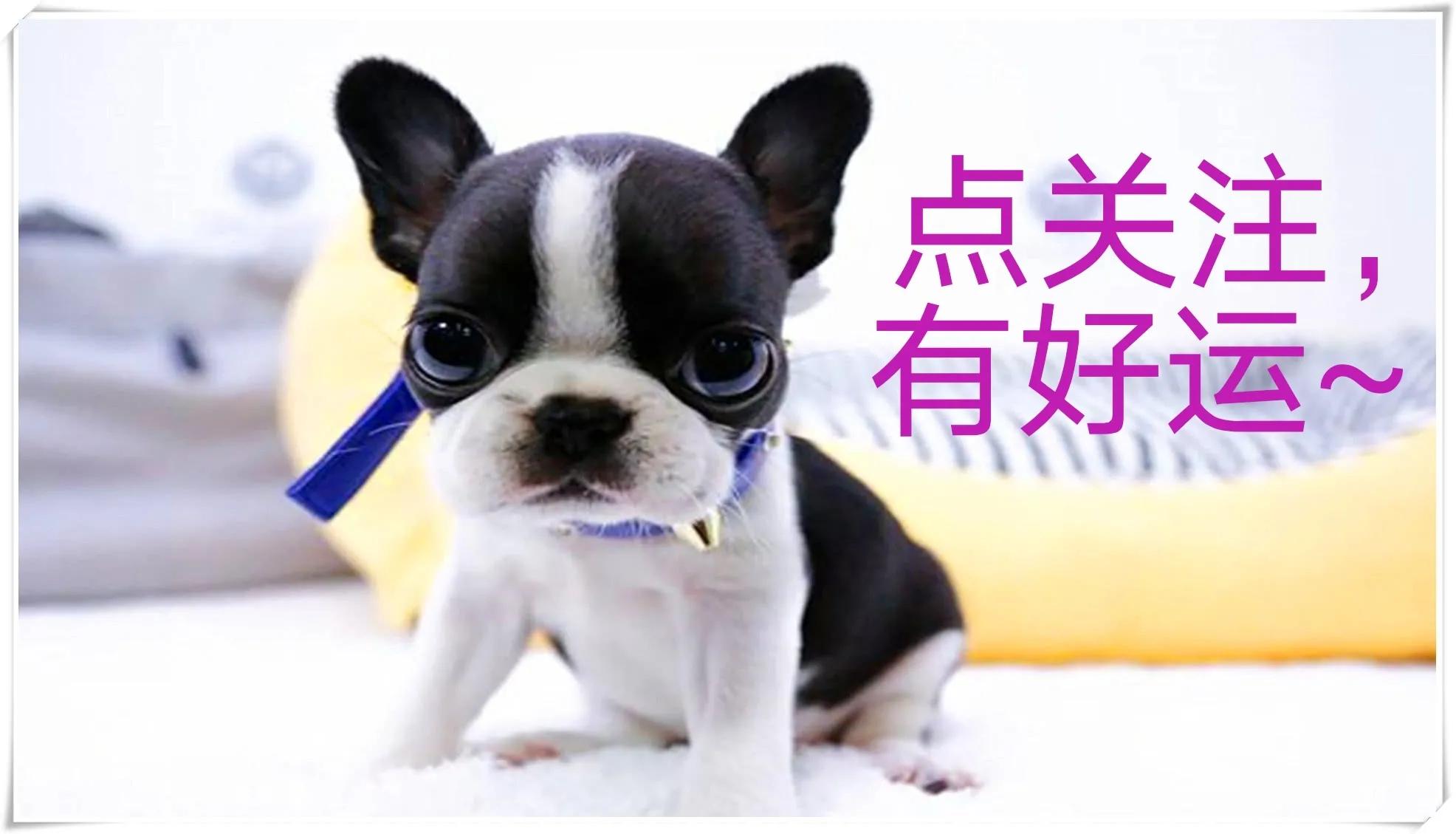 为什么说不能改命但可以改运,为什么有人说命能算不能改