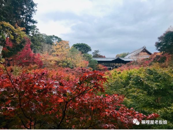 京都和大阪地理位置,京都奈良大阪位置