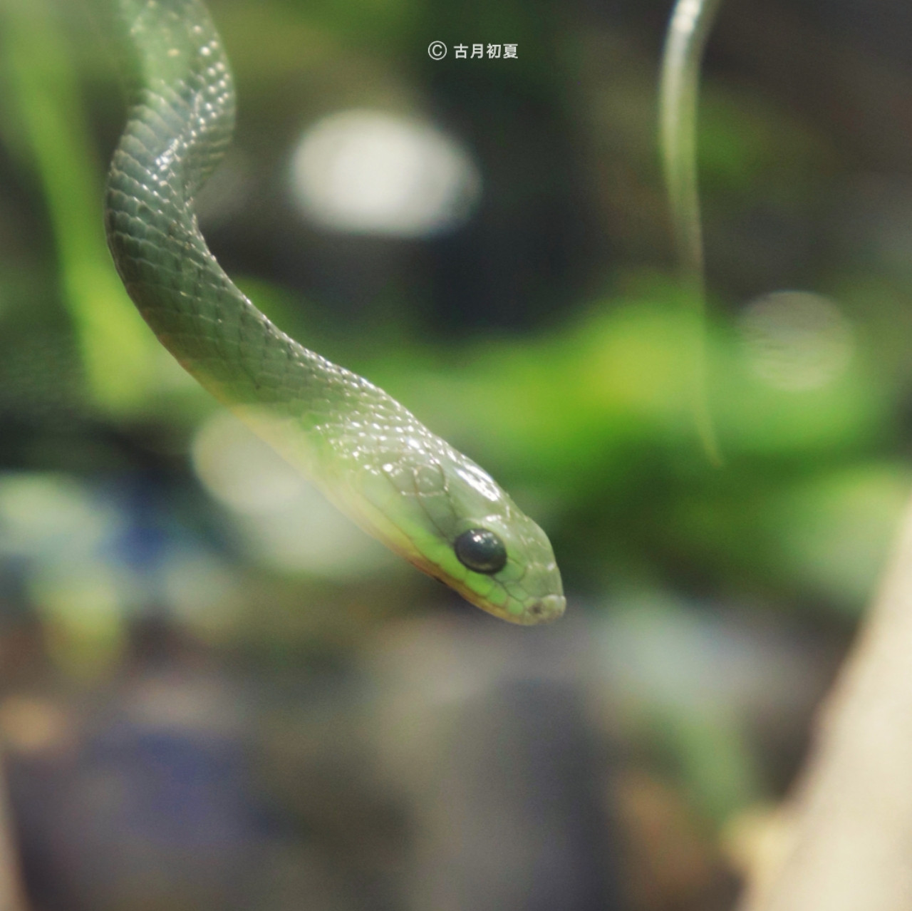 厦门科技馆游玩攻略2-3岁儿童,厦门科技馆每一个馆只能玩一次吗