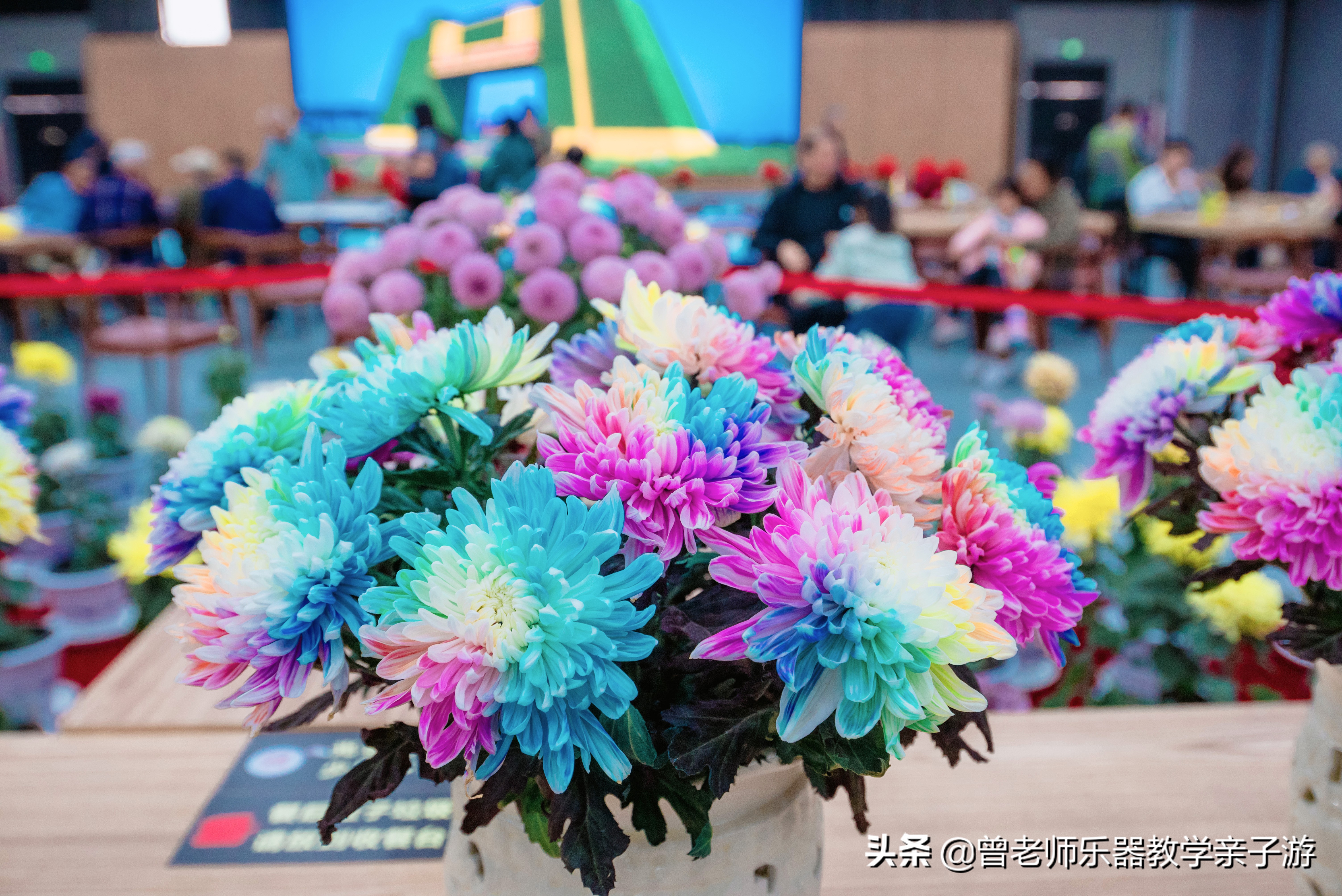 爱菊研学游,爱菊丝路文化菊花园西安