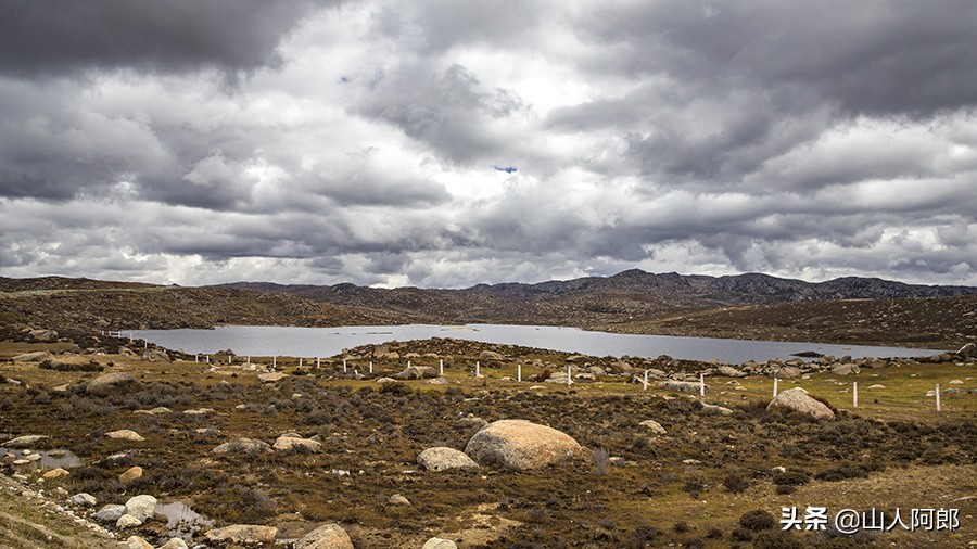 宸濊タ楂樺師澶ц崏鍘熺殑璺笂鐓х墖,闈掕棌楂樺師涓婄殑鑽夊師闆北椋庢櫙