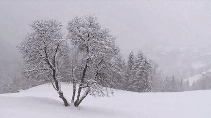 冬季便秘怎么快速通便,冬季上火便秘