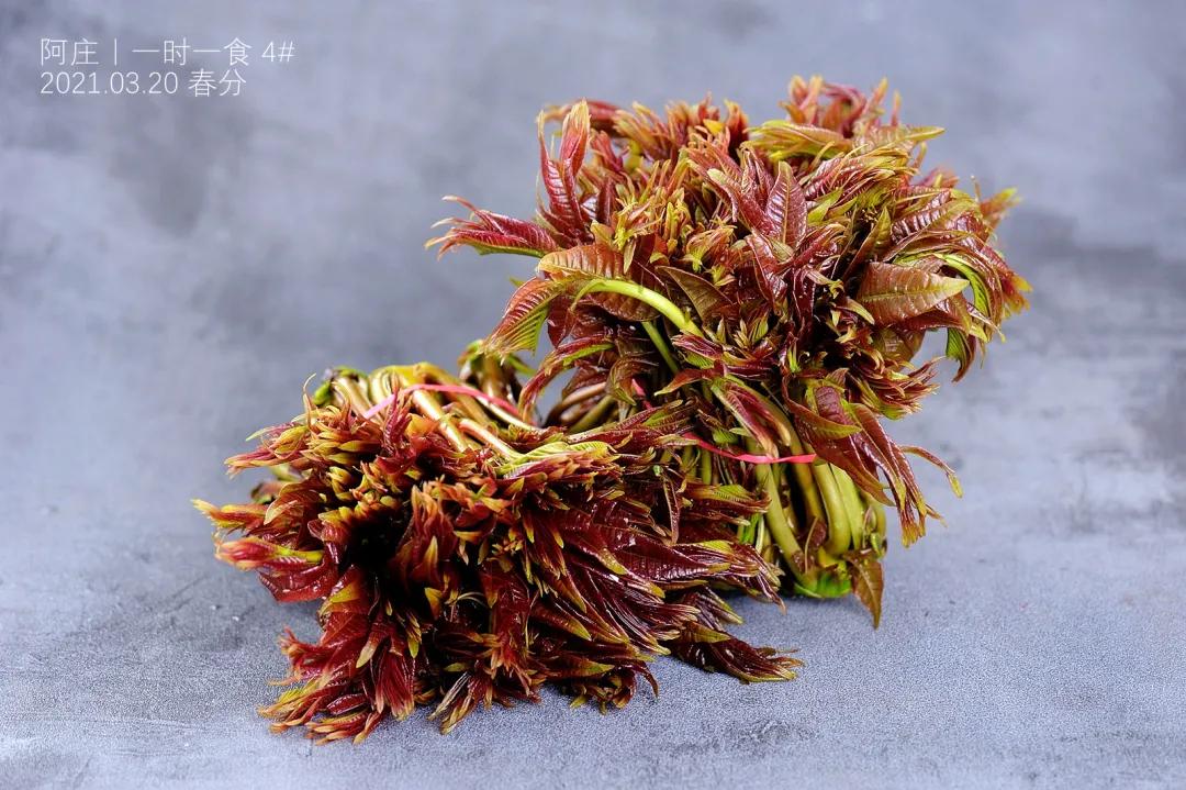 舌尖上的春天香椿菜,舌尖上的春天美食之香椿