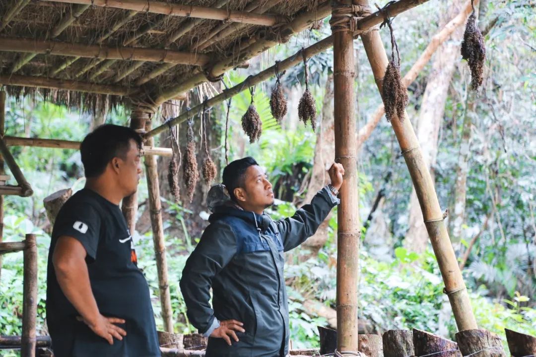 一个米其林厨师隐居开餐厅,一个厨师的米其林餐厅