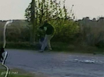 笑死人不偿命搞笑动图,p图搞笑视频笑得肚子疼