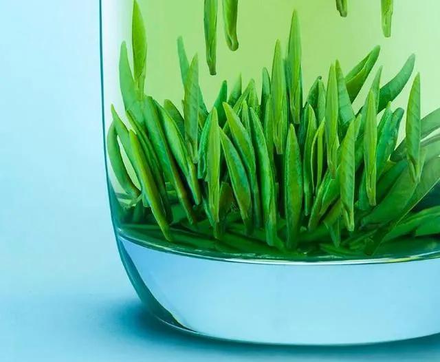 你所不了解的竹叶青茶