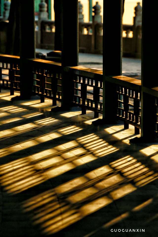 《晨辉情未了，光影长廊再写意》