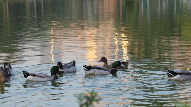 深圳大学游玩攻略一日游,深圳大学打卡攻略