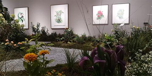 植物画家曾孝濂,画家曾孝濂作品欣赏