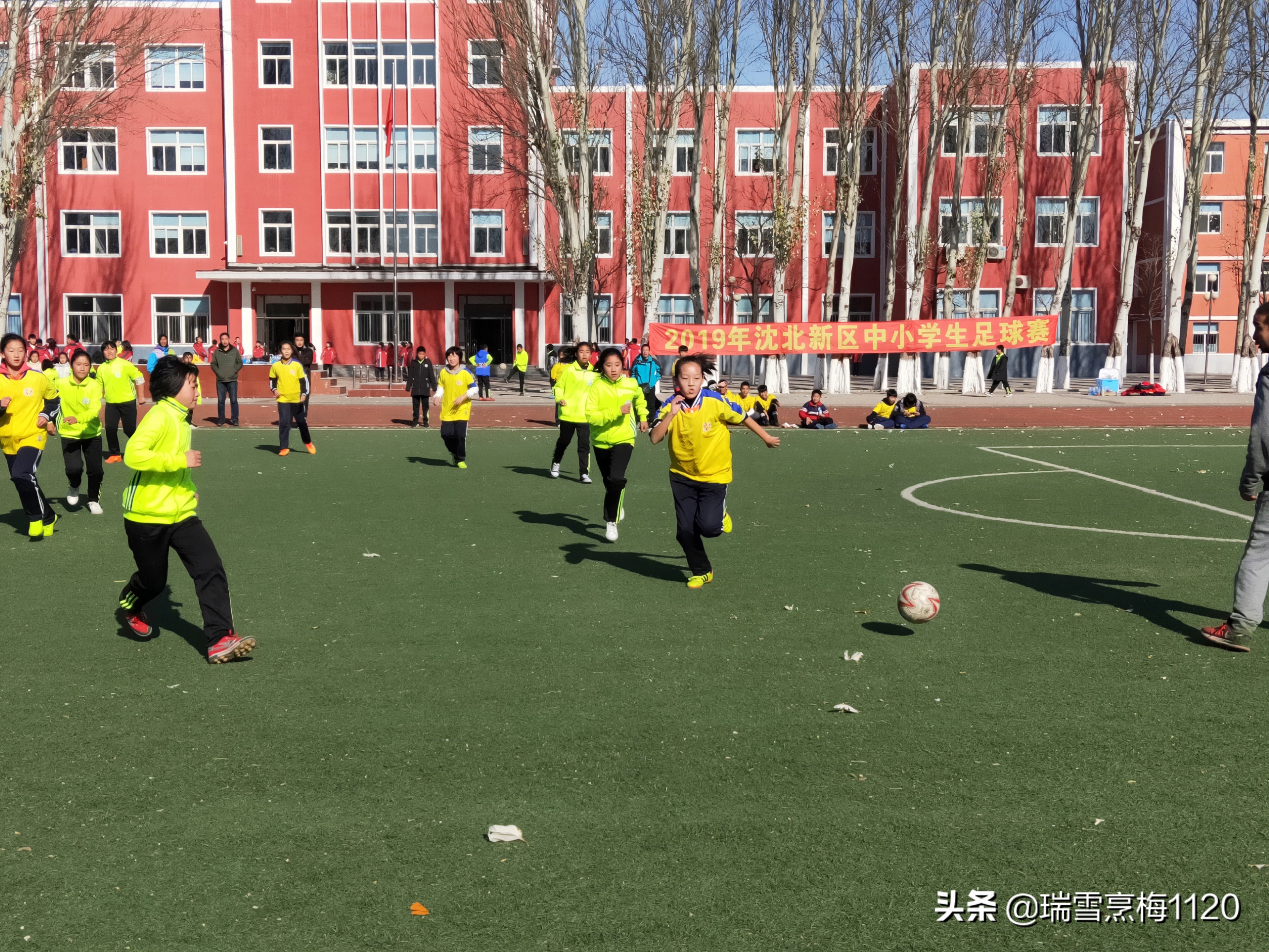 新城子街第一小学喜报,厉害杨浦足球小将斩获市运会冠军