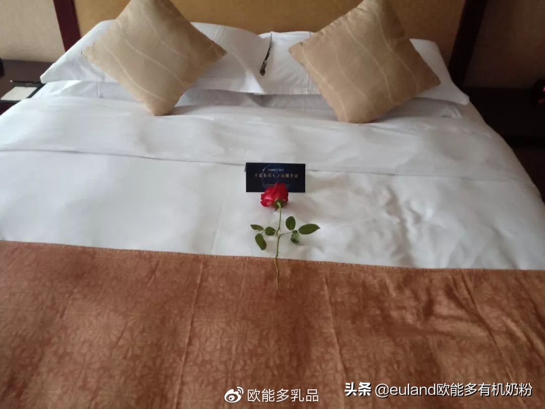 直击2019宜品欧能多品牌品鉴会，亮点不断，实力圈粉