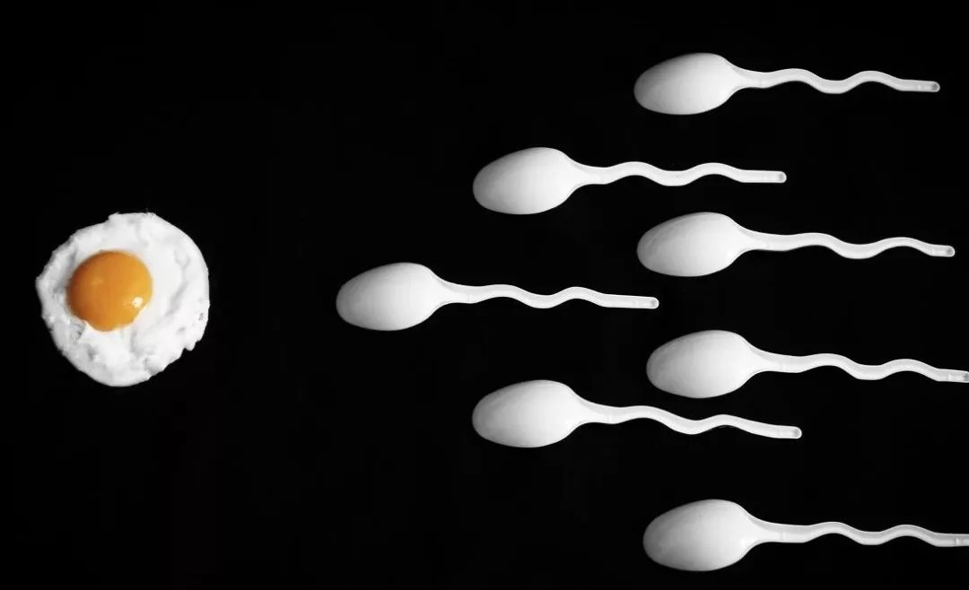 年龄大弱精少精怎么治疗最好,少精弱精无精和畸形率有关吗