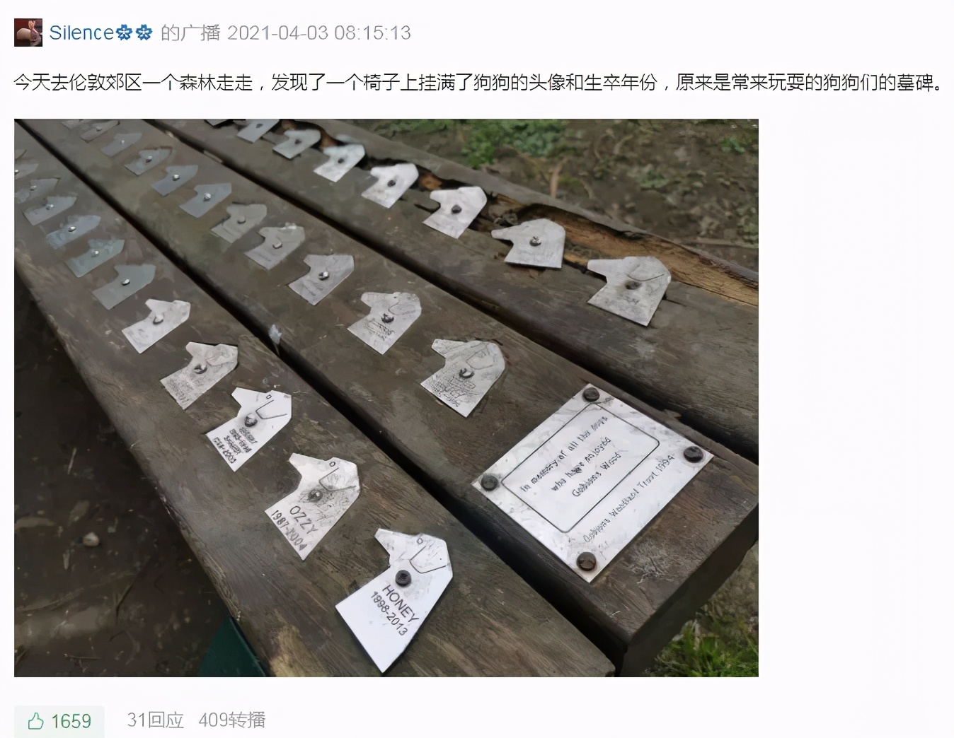 从墓地公园归来,我变罗曼蒂克了