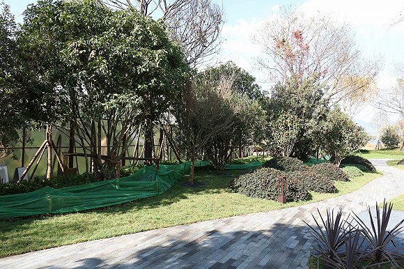 金地云海一号后海昆明,昆明金地云海壹号合院