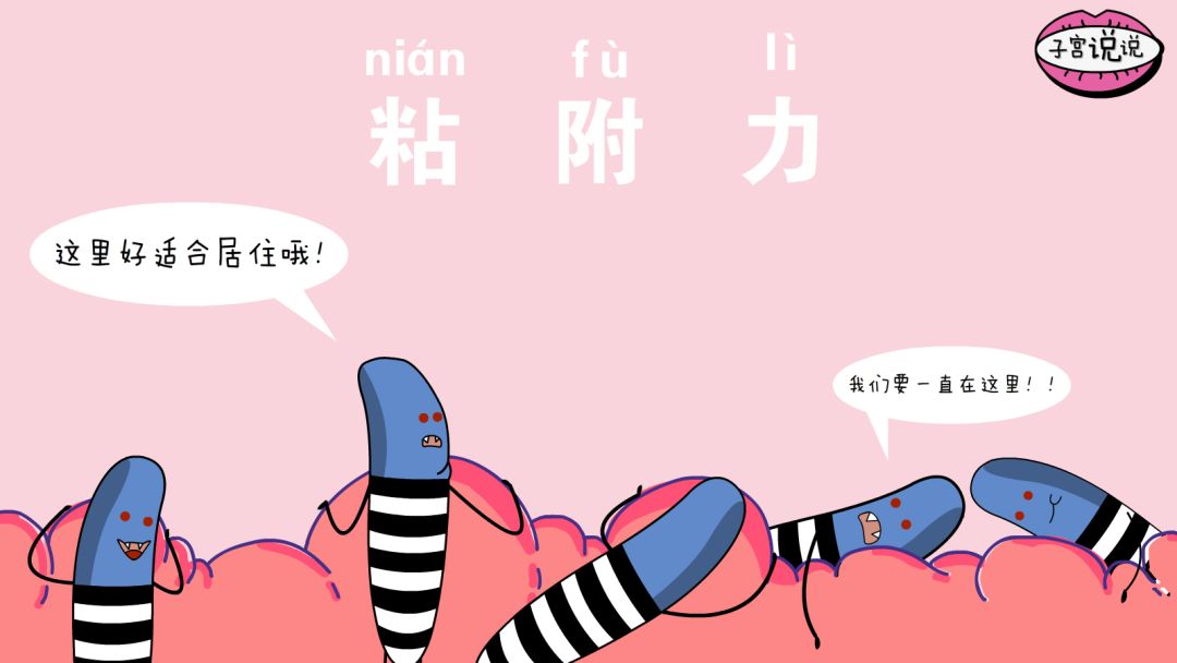 为什么会得霉菌性阴道炎，如何治疗？