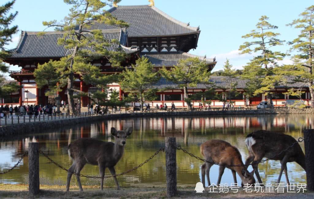 日本旅游不能错过的十个历史小镇,金石滩日本风情小镇
