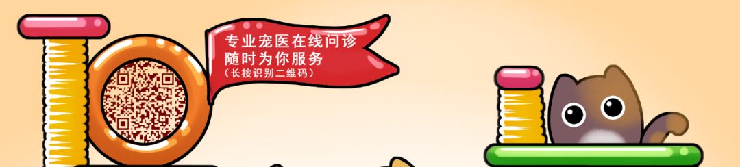 当猫咪剃了毛之后,春天猫咪剃了毛一直发抖