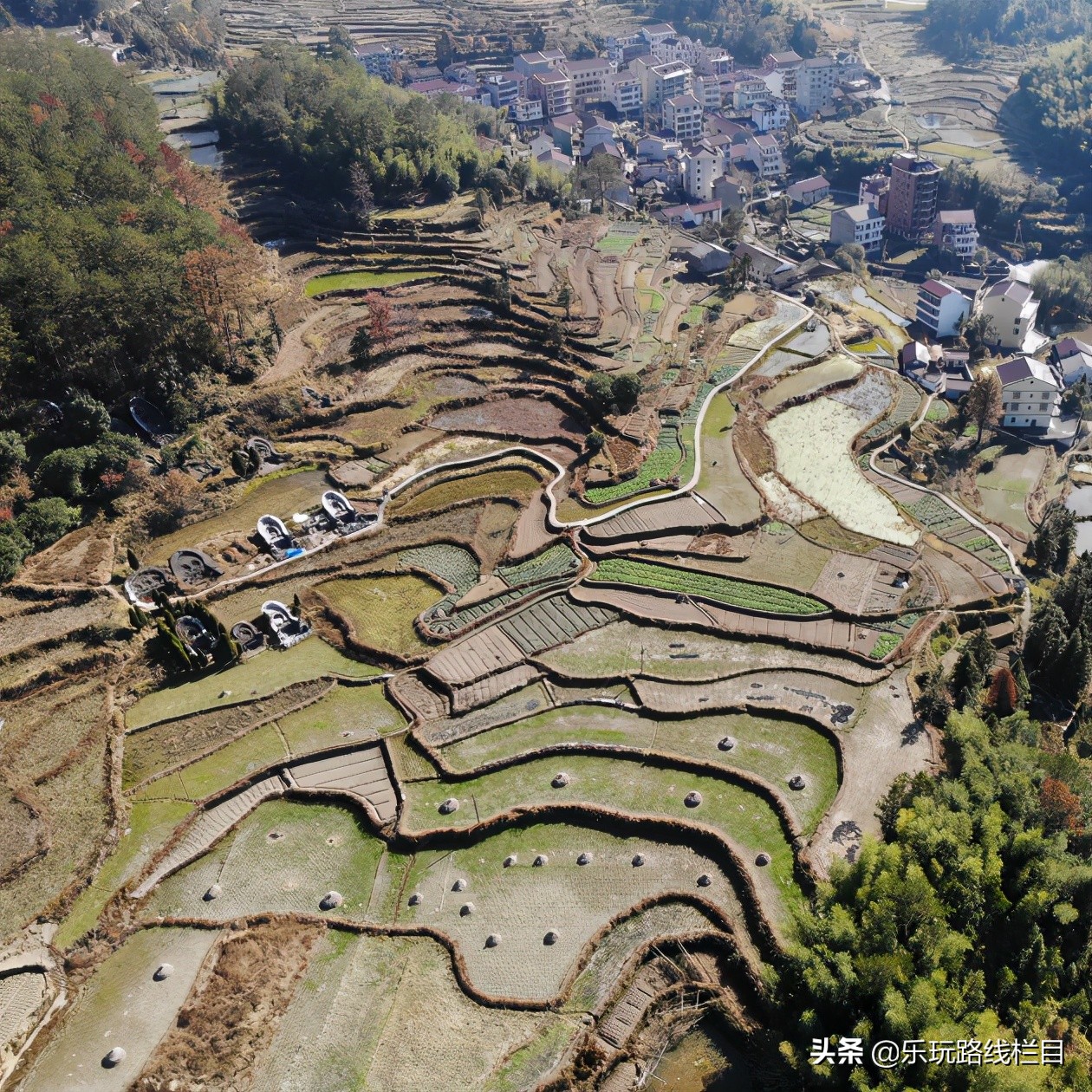 清明周末去哪玩？青田这个神仙山村必须打卡