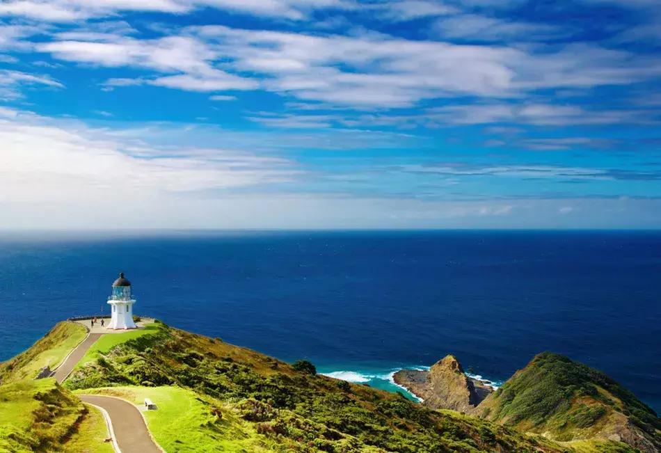 快递100攻略,快递100国际报关