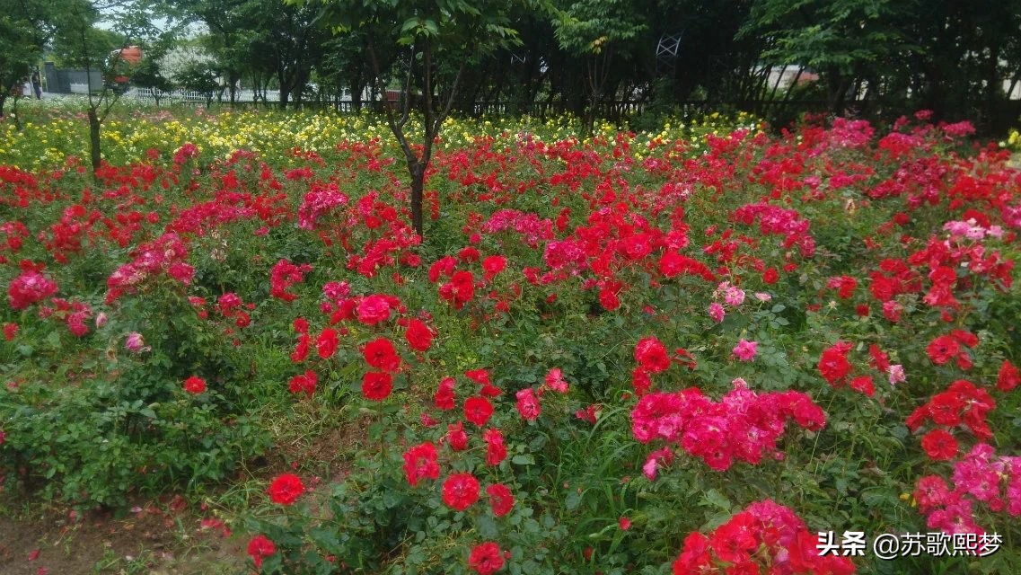 我和横店有个缘