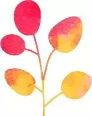 每天学一点心理学小技巧,每天学一个心理技巧