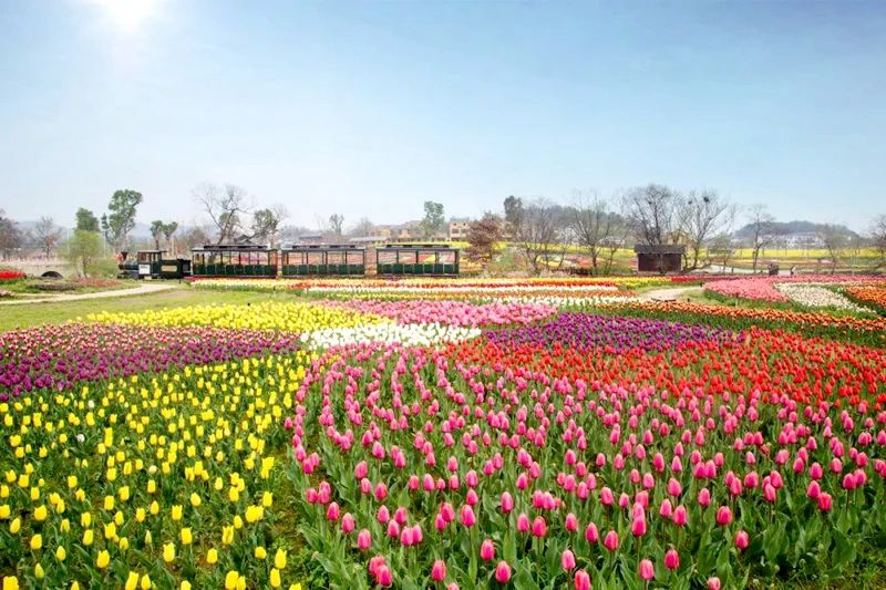 此心安处是仙乡,此心安处是吾乡