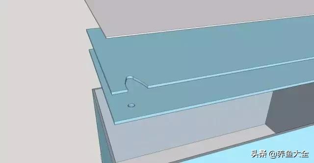 怎么样才可以做个美丽的鱼缸,给自己一个完美解释