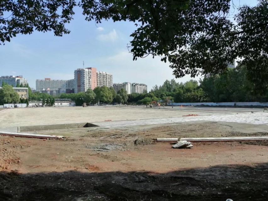 梦回主场，为了忘却的纪念！