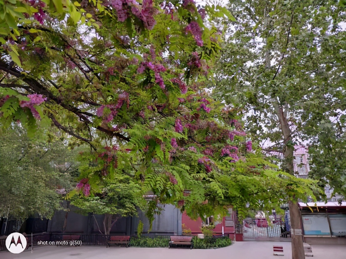 motog50处理器能玩游戏吗,motog50支持双5g么