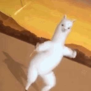 神兽羊驼吐口水,网络神兽羊驼一言不合吐口水