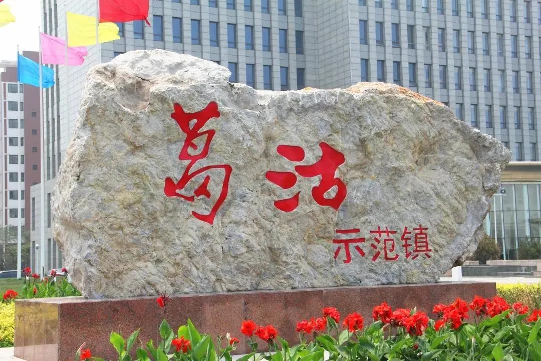 津南区打架,津南区打架视频