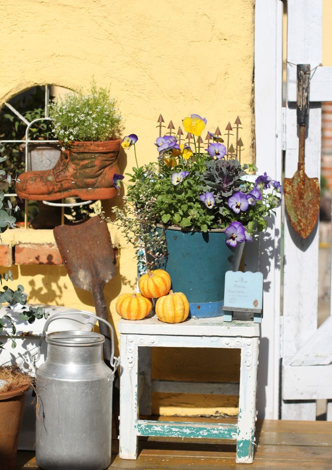 一个重度搪瓷爱好者的杂货花园