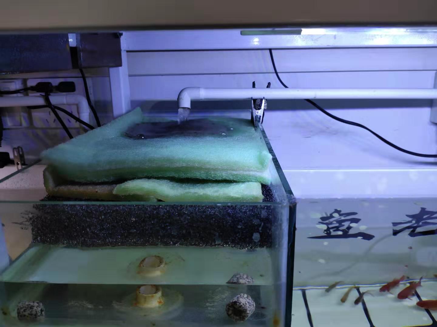 观赏鱼生化棉怎么用,生化棉代替生化滤材