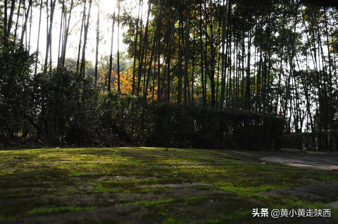 西安附近的千年古寺,西安千年古寺