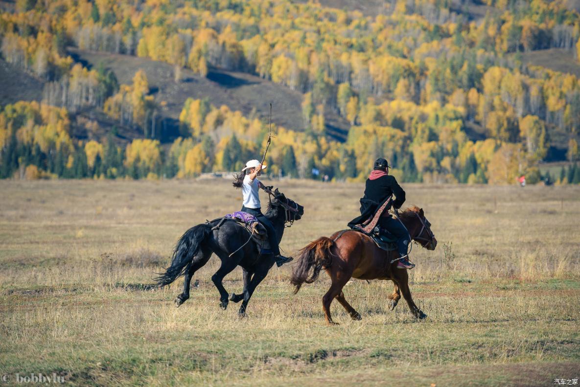 为美食而旅行,为美食美景而来