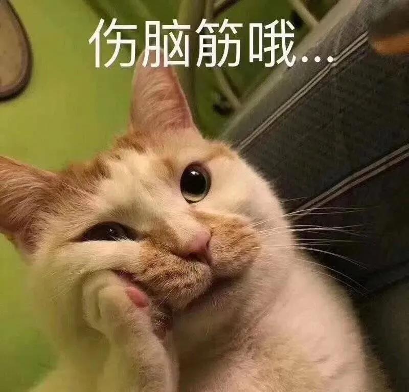 猫咪在睡梦中颤抖什么意思,猫咪睡梦中四肢乱动