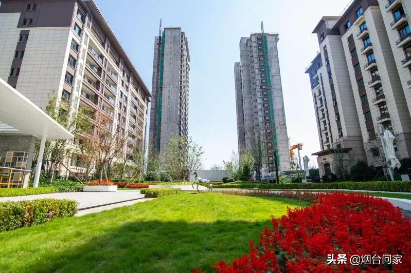 刚进场就放大招的人,刚来烟台福山区