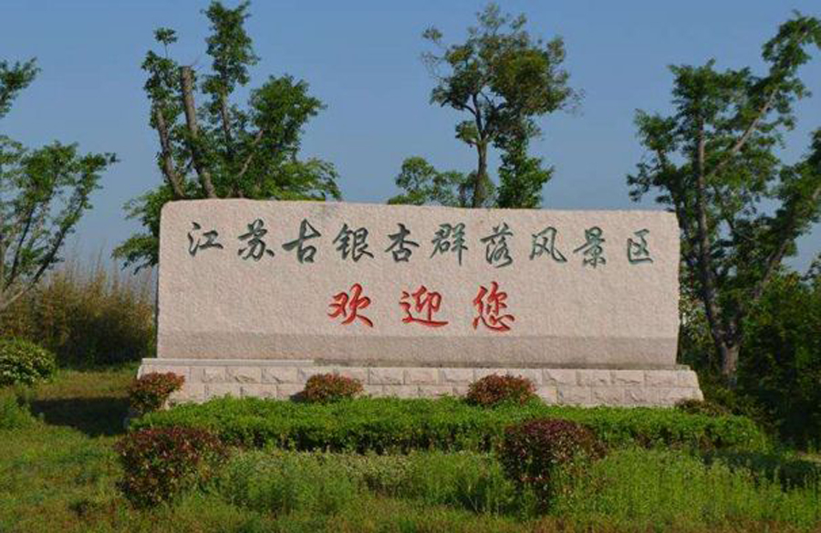 江苏泰兴市最小的镇，紧邻泰州高港区，拥有古银杏森林公园