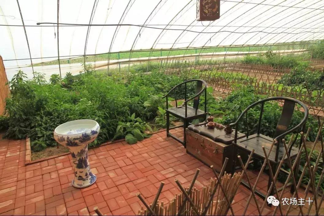 从零开始打造一个优质亲子农庄,从亏损近2亿到盈利35亿的逆袭